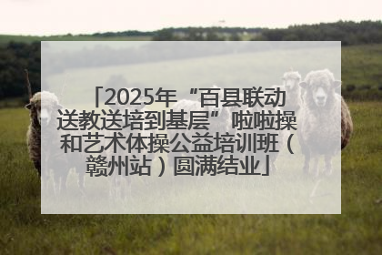 2025年“百县联动送教送培到基层”啦啦操和艺术体操公益培训班（赣州站）圆满结业