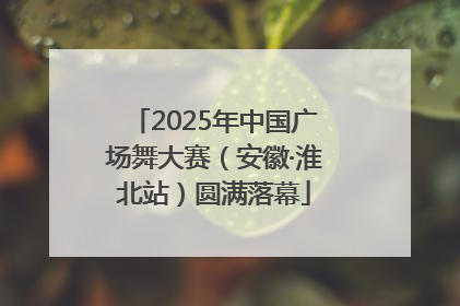 2025年中国广场舞大赛（安徽·淮北站）圆满落幕