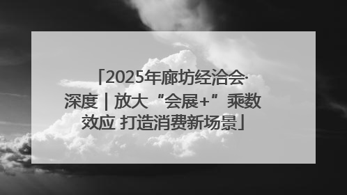 2025年廊坊经洽会·深度｜放大“会展+”乘数效应 打造消费新场景