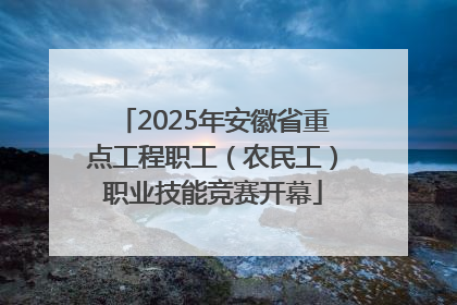 2025年安徽省重点工程职工（农民工）职业技能竞赛开幕