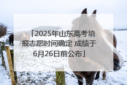 2025年山东高考填报志愿时间确定 成绩于6月26日前公布