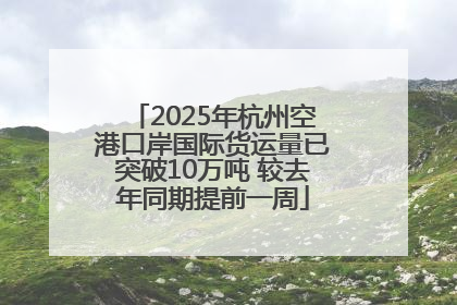 2025年杭州空港口岸国际货运量已突破10万吨 较去年同期提前一周