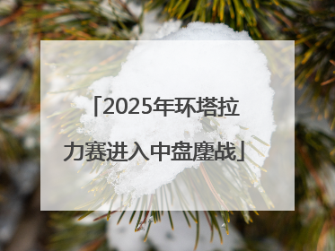 2025年环塔拉力赛进入中盘鏖战