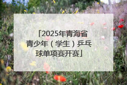 2025年青海省青少年（学生）乒乓球单项赛开赛