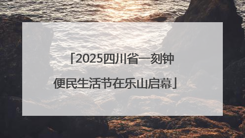 2025四川省一刻钟便民生活节在乐山启幕