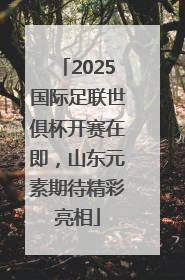 2025国际足联世俱杯开赛在即，山东元素期待精彩亮相