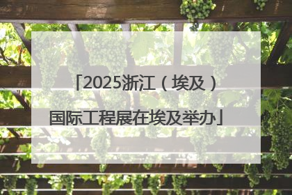 2025浙江（埃及）国际工程展在埃及举办