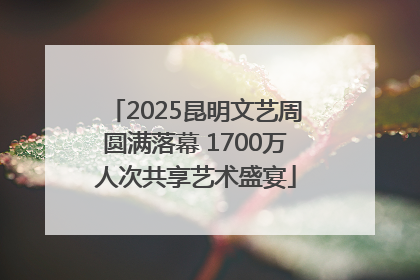 2025昆明文艺周圆满落幕 1700万人次共享艺术盛宴