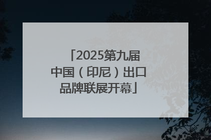 2025第九届中国（印尼）出口品牌联展开幕