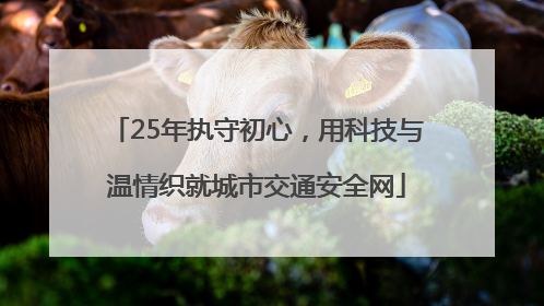 25年执守初心，用科技与温情织就城市交通安全网