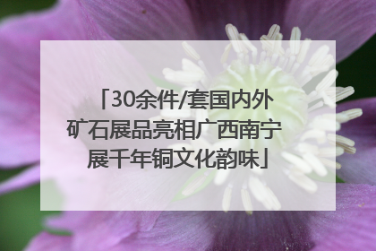 30余件/套国内外矿石展品亮相广西南宁 展千年铜文化韵味