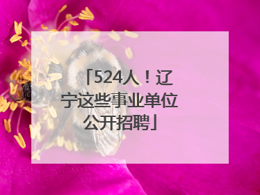 524人！辽宁这些事业单位公开招聘