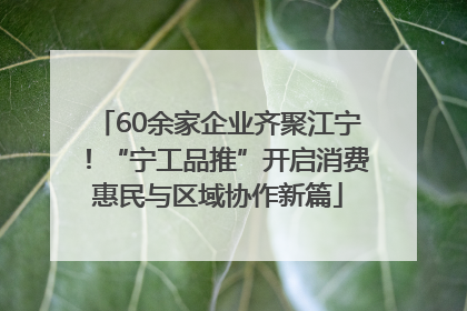 60余家企业齐聚江宁！“宁工品推”开启消费惠民与区域协作新篇
