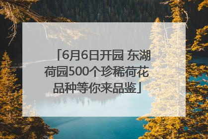 6月6日开园 东湖荷园500个珍稀荷花品种等你来品鉴