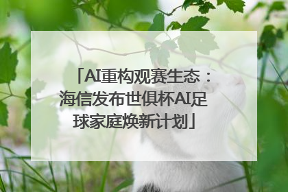 AI重构观赛生态：海信发布世俱杯AI足球家庭焕新计划