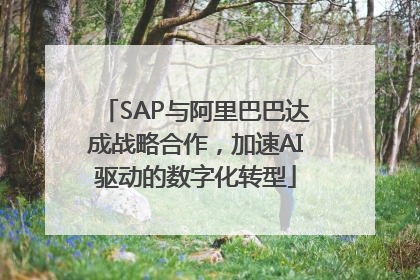 SAP与阿里巴巴达成战略合作，加速AI驱动的数字化转型