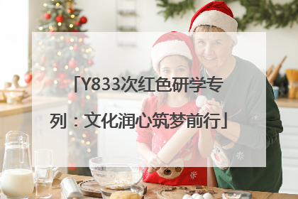Y833次红色研学专列：文化润心筑梦前行